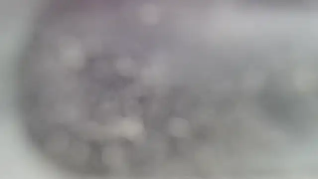 YourHotGreg online show from 10.12.25