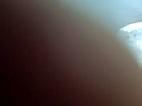 zsd off online show from 11.06.25