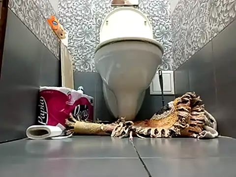 zsd off online show from 11.08.25