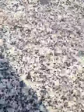 Beijing2000 online show from 01.30.25