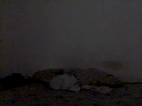 mariy  online show from 03.03.25