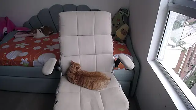 Snapshot of _arianalzate_ chatting on 01.29.25 arianalzate online show from 01.29.25