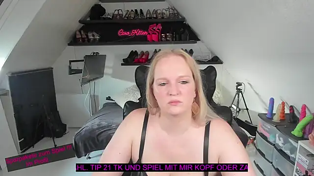 caro kitten online show from 01.17.26