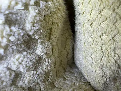 Snapshot of Amarok39 chatting on 02.13.25 Amarok39 online show from 02.13.25