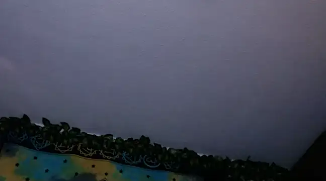 Snapshot of chanel_1041 chatting on 12.26.24 chanel 1041 online show from 12.26.24