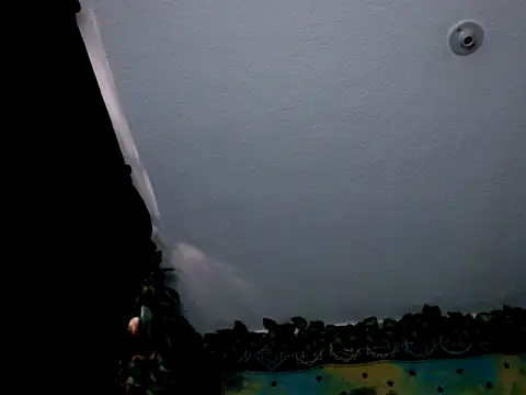 Snapshot of chanel_1041 chatting on 01.03.25 chanel 1041 online show from 01.03.25