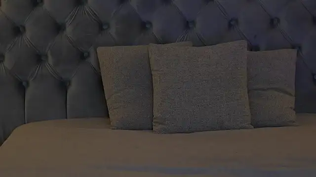 Snapshot of AmelyNoir chatting on 11.13.25 AmelyNoir online show from 11.13.25