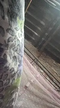 Snapshot of HotSexyBoudi chatting on 12.21.24 HotSexyBoudi online show from 12.21.24