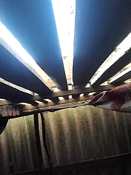 Snapshot of HotSexyBoudi chatting on 10.16.25 HotSexyBoudi online show from 10.16.25