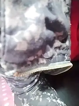 Dangky1 online show from 02.03.25