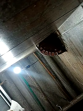 Restrepo300 online show from 10.03.25