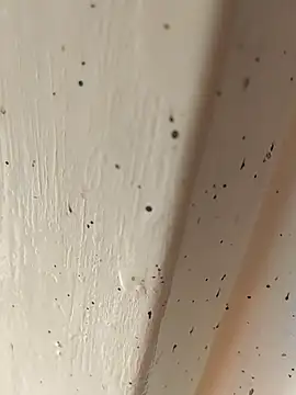 camila picante online show from 04.04.26