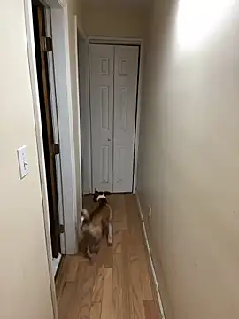 DaddySnowXX online show from 12.16.24