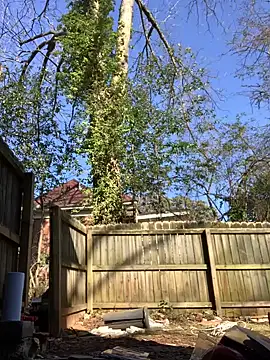 Snapshot of trash4cash chatting on 01.28.25 trash4cash online show from 01.28.25