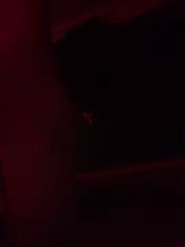 Snapshot of trash4cash chatting on 02.09.25 trash4cash online show from 02.09.25