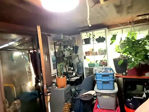 trash4cash online show from 01.13.26