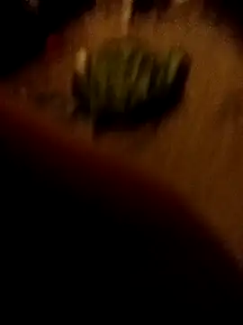 Snapshot of ySqmbVanbe chatting on 02.16.26 ySqmbVanbe online show from 02.16.26