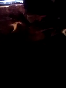 Snapshot of ySqmbVanbe chatting on 03.02.26 ySqmbVanbe online show from 03.02.26