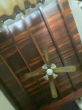 tom thick online show from 01.20.25