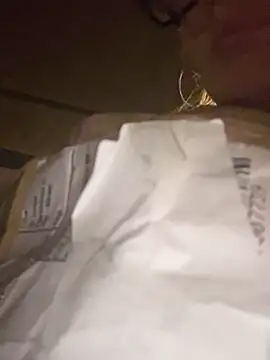 Snapshot of casalinga88 chatting on 11.06.25 casalinga88 online show from 11.06.25