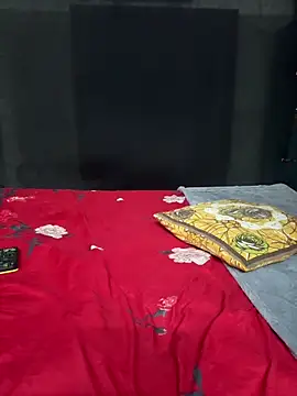 Snapshot of Magical-Couple-telugu chatting on 10.25.25 Magical-Couple-telugu online show from 10.25.25