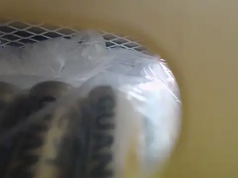 lovense test04 online show from 10.16.25