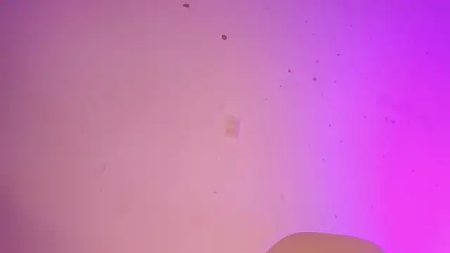 Tahira 21  online show from 01.22.25