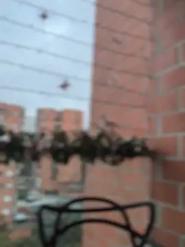 ValerieHilton online show from 12.27.24