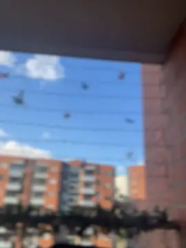 ValerieHilton online show from 01.18.25