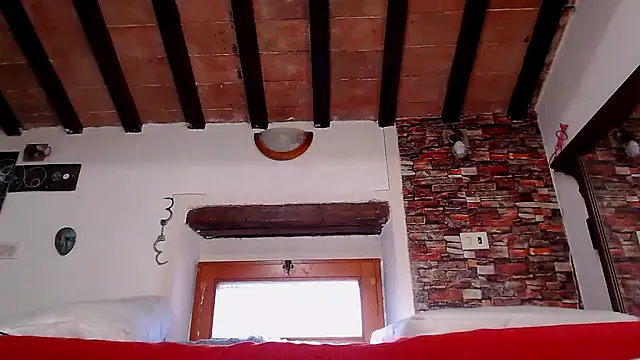 cek 186 online show from 04.06.26