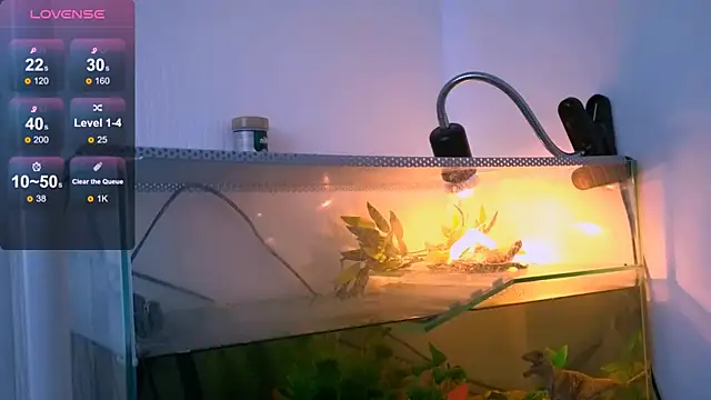 Britney Lynch online show from 04.21.26