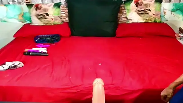 Snapshot of Indian_Blaze00 chatting on 01.31.26 Indian Blaze00 online show from 01.31.26