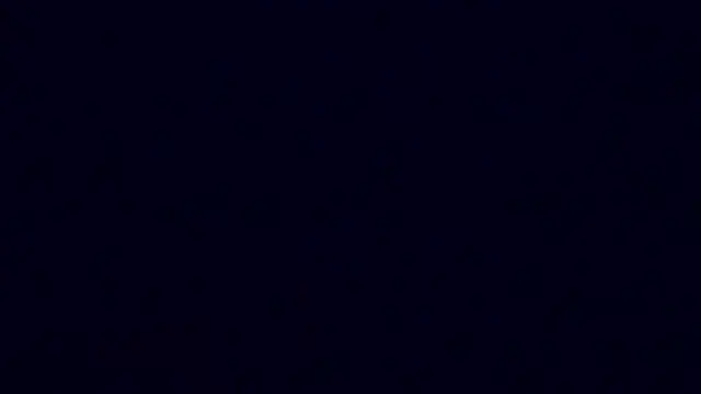 Lia Y PatrickX online show from 02.06.25