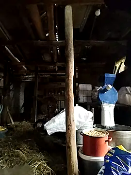 Sarpe84 online show from 01.24.25