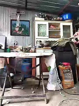 Sarpe84 online show from 01.24.25