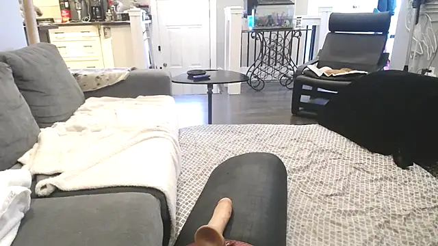 Snapshot of AssmannCD chatting on 02.18.25 AssmannCD online show from 02.18.25