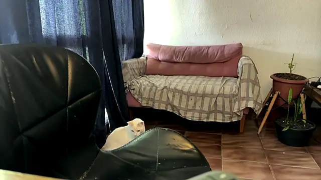 gerson173Hugo online show from 01.07.26