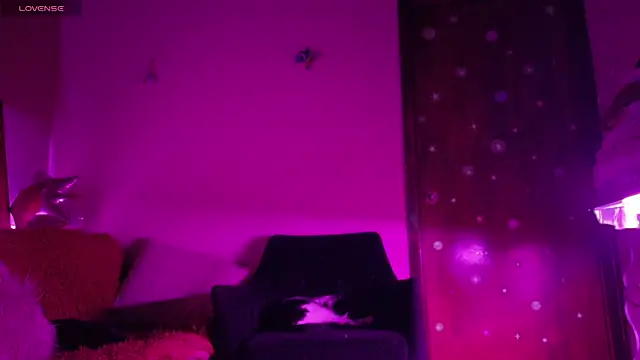 maryberry   online show from 04.18.26