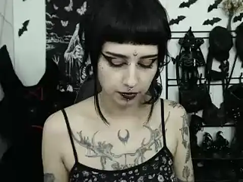 n0sferatus   online show from 04.11.26