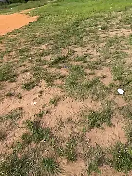 Snapshot of Black-mamba-madingo chatting on 02.14.26 Black-mamba-madingo online show from 02.14.26