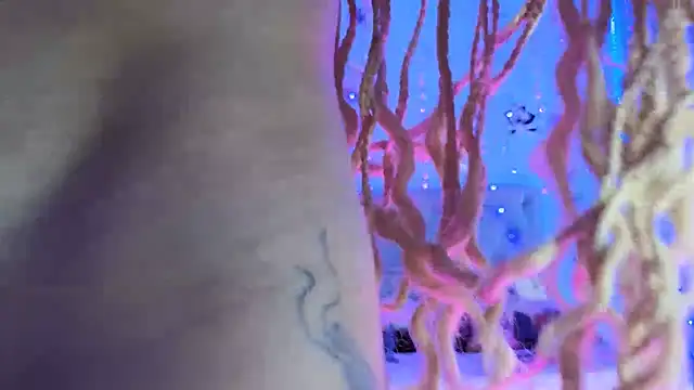 gabbiefoxthx online show from 02.01.25