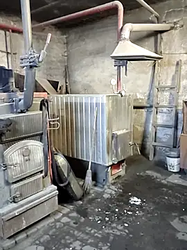 MityaXLoves online show from 12.22.25