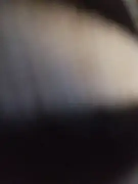 Donostipa online show from 01.10.26