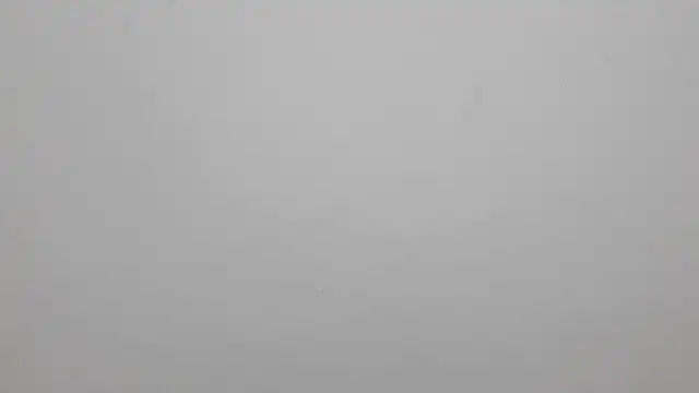 Kenner fox77 online show from 03.01.25