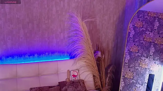 dominic thailor online show from 02.24.26