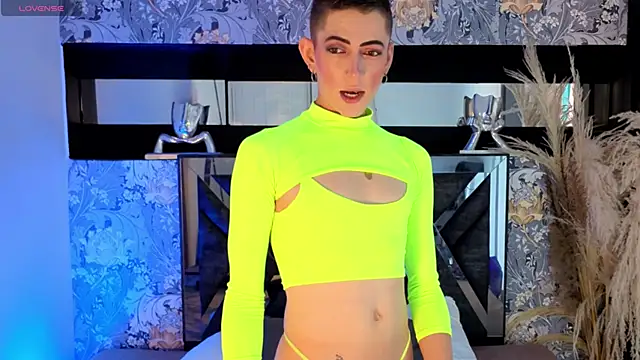 dominic thailor online show from 05.27.26