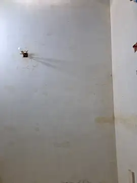 Derry Cooper online show from 02.08.26