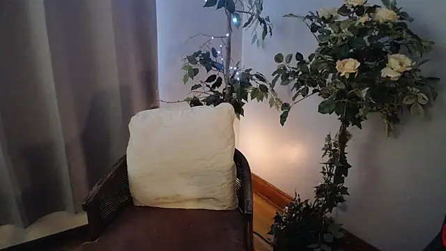 Snapshot of CanadianBeaver6969 chatting on 01.14.25 CanadianBeaver6969 online show from 01.14.25