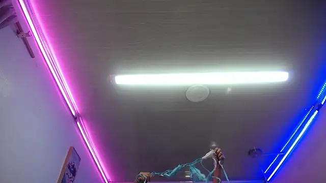 candy lux  online show from 02.19.26