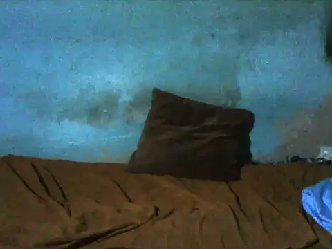 little  joy online show from 12.16.25